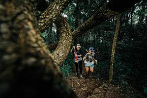 BIB: 
                            <button type="button" onclick="openModal(25694376)" class="btn btn-primary btn-sm float-right btn-popup" data-toggle="modal" data-target=".modal-high-quality">
                        <i class="fas fa-shopping-cart"></i> Add to Cart
                    </button>
                                            <button type="button" onclick="isThisMe(25694376, true)" class="btn btn-success btn-sm float-right btn-popup btn-isme hidden" data-toggle="tooltip" data-placement="bottom" title="นี่คือรูปของคุณใช่ไหม คลิกที่นี่เพื่อเอาเข้าอัลบั้ม">
                        <i class="fas fa-plus"></i> Add to album
                    </button>
                    <button type="button" onclick="isThisMe(25694376, false)" class="btn btn-warning btn-sm float-right btn-popup btn-isnotme hidden">
                        <i class="fas fa-ban"></i> Remove from album
                    </button>